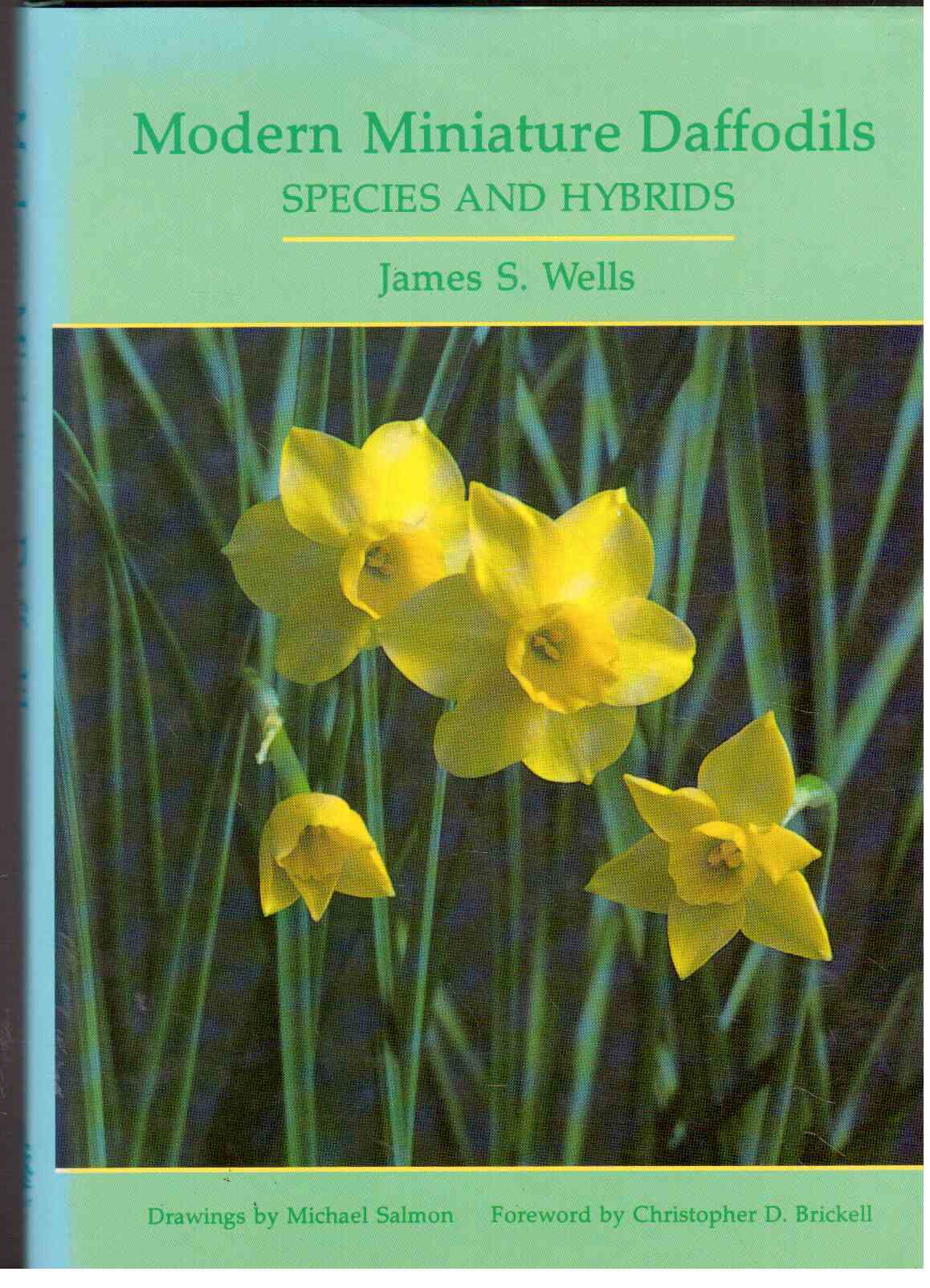 Modern Miniature Daffodils : Species and Hybrids Modern Miniature Daffodils : Species and Hybrids