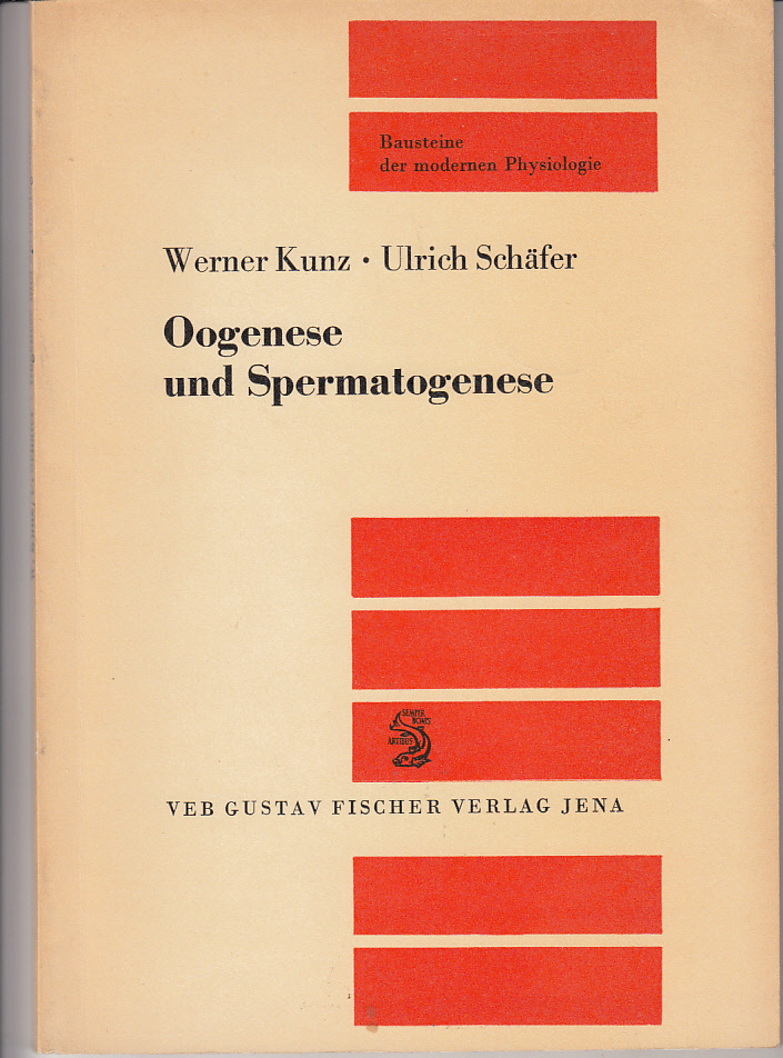 Oogenese und Spermatogenese.