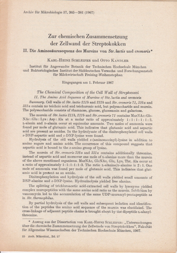 Zur chemischen Zusammensetzung der Zellwand der Streptokokken. II. Die Aminosäuresequenz des Mureins von Str. lactis und cremoris