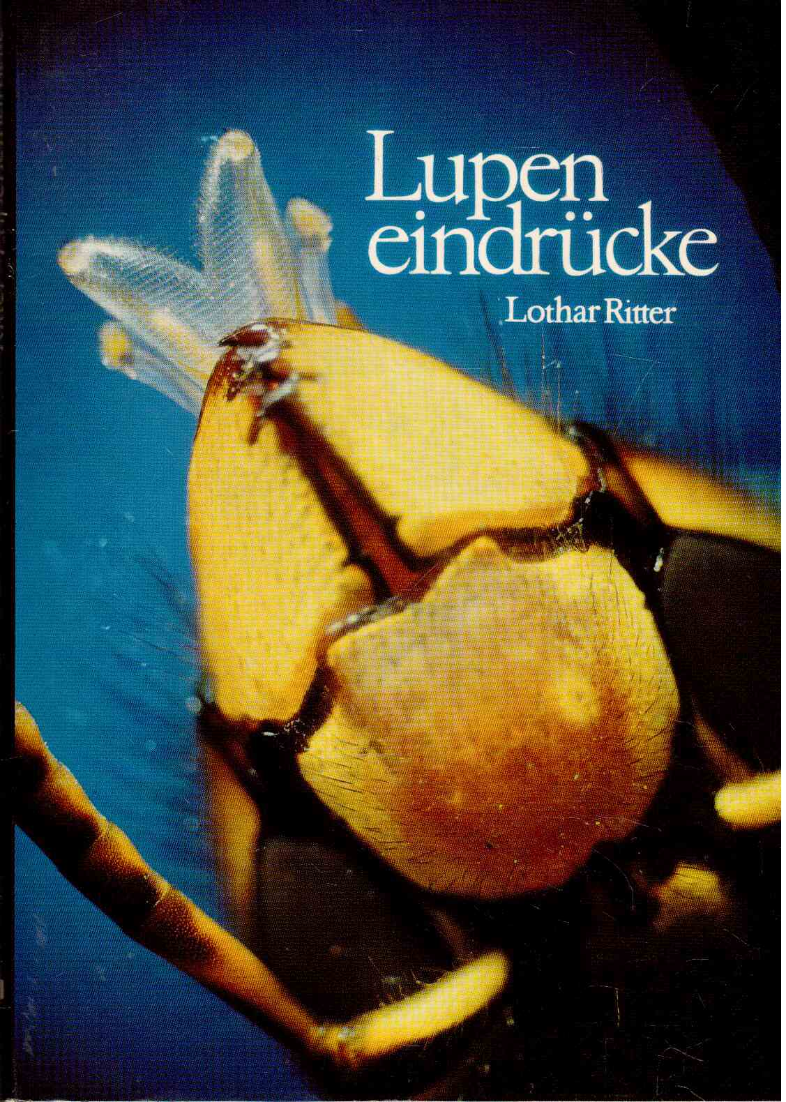 Lupeneindrücke