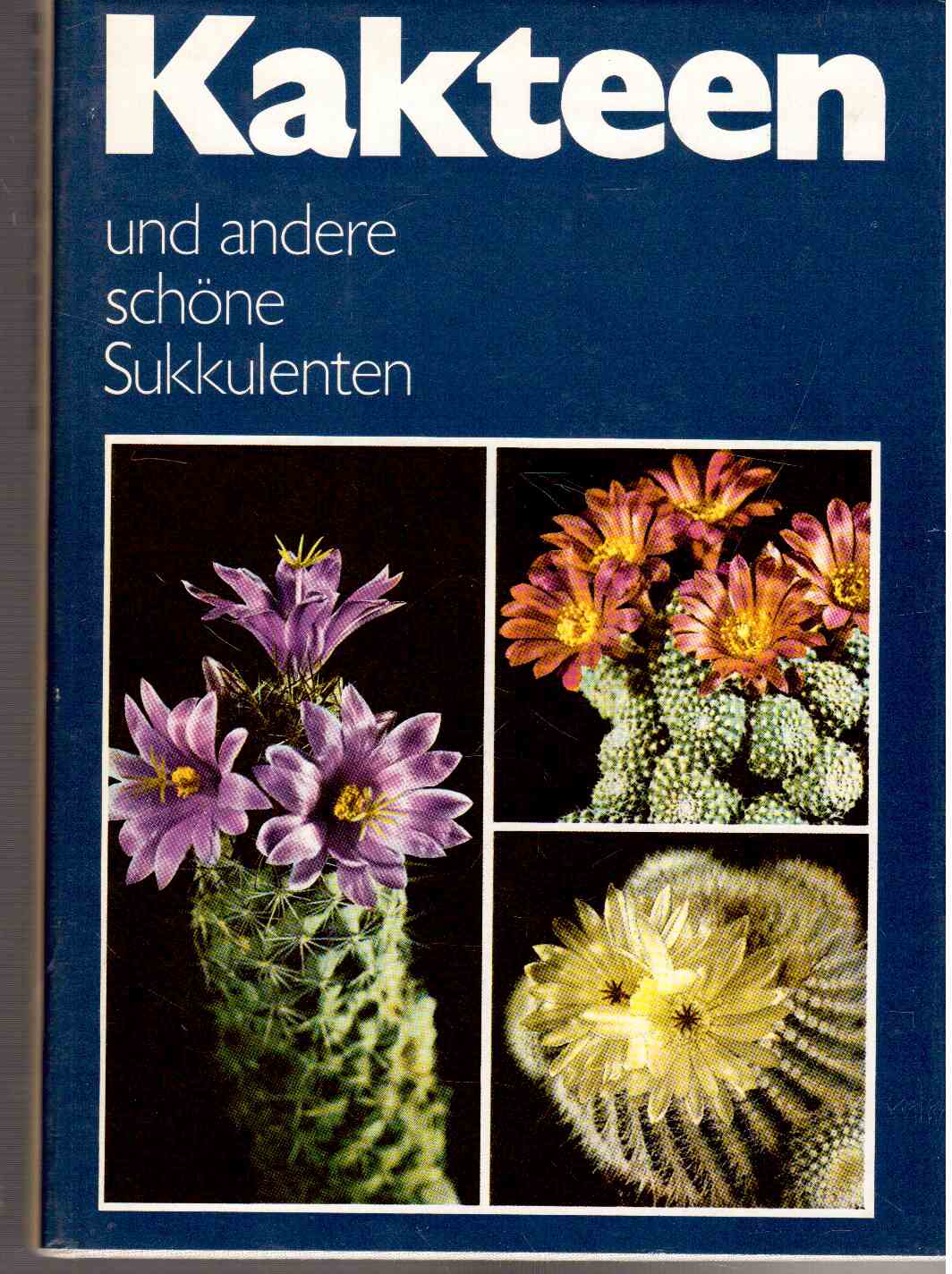 Kakteen und andere schöne Sukkulenten Kakteen und andere schöne Sukkulenten