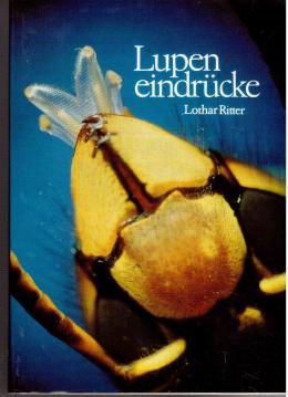 Lupeneindrücke