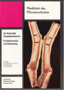Die Bakterielle Stengelmarknekrose - Krankheitsverlauf und Bekämpfung Die Bakterielle Stengelmarknekrose - Krankheitsverlauf und Bekämpfung