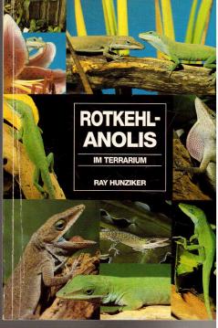 Rotkehlanolis im Terrarium