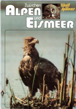 Zwischen Alpen und Eismeer
