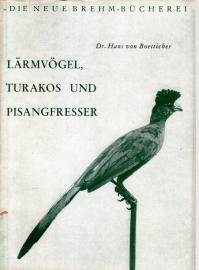 Lärmvögel Turakos Pisangfresser Lärmvögel Turakos Pisangfresser