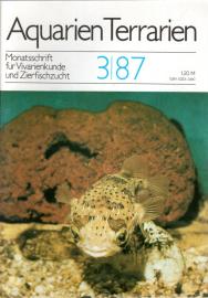 Aquarien Terrarien - Monatsschrift für Vivarienkunde und Zierfischzucht. 3/87 Aquarien Terrarien - Monatsschrift für Vivarienkunde und Zierfischzucht. 3/87