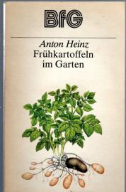 Frühkartoffeln im Garten. Frühkartoffeln im Garten.