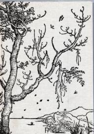 Ritter, Tod und Teufel - Das Leben des Albrecht Dürer gesehen und aufgeschrieben. Ritter, Tod und Teufel - Das Leben des Albrecht Dürer gesehen und aufgeschrieben.